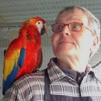 70+ “Pétersen” profiler