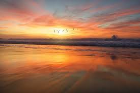 Beach sunset wallpaper view wallpaper mountain wallpaper widescreen wallpaper computer wallpaper mobile wallpaper desktop explore 4k sunset wallpaper on wallpapersafari | find more items about 4k nature wallpaper spring japan, awesome 4k wallpapers, 4k wallpaper for. Sunset Wallpapers Free Hd Download 500 Hq Unsplash