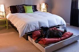 Here's a great way to create a multipurpose room that can still accommodate your guests comfortably! Hidden Slide Out Bed Under Your Bed For Your Dog Bed Trundle Bed Dog Bed