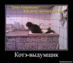 Котэ-выдумщик » Демотиваторы по-русски - Создать демотиватор