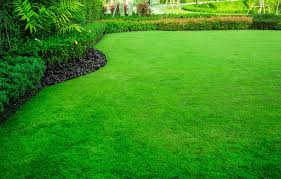 Jun 05, 2021 · many people are rethinking how they care for their yard by cutting back on lawn chemicals and fertilizers. The 7 Best Weed Killers To Try In 2021 Mymove
