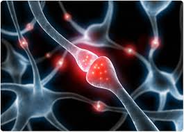 Image result for Cancer Pain