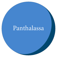 Image result for panthalassa