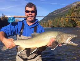 Column Kootenay Rivers Teeming With Bull Trout Nelson Star