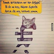 Kamu Spotu Hayvanlar Lutfen Paylasin Duyarli Olalim Cat Art Cool Drawings Drawings