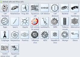 Cells Diagram Symbols