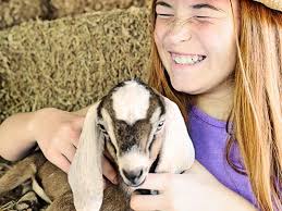 Graves Mountain Farm & Lodges