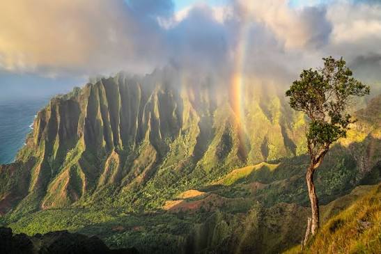 Recent images captured on the island of Kauai. I'm loving some of these, and working on more to come soon. Some new additions coming to the Masterworks Collection! . . . #hawaii #