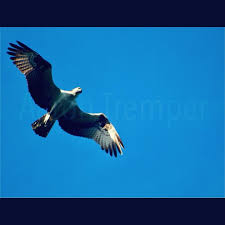 Aaron Tremper Photography (@aarontremperphotography) • Instagram photos and  videos