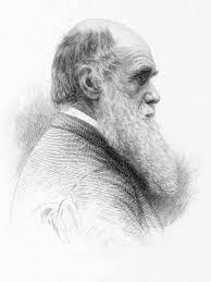 Darwin In Letters, 1874: A Turbulent Year | Darwin Correspondence Project