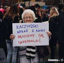Dzień dobry, miłego dnia i smacznej kawusi życzymy. 47 Jebac Pis Ideas Smieszne Zabawne Memy Cytaty