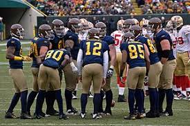 This site might help you. Green Bay Packers Wikipedia