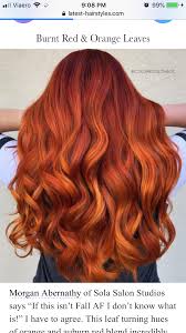 Pin By Beth Charmak On Hair Colours Red Orange Hair Fall Hair Color Hair Styles