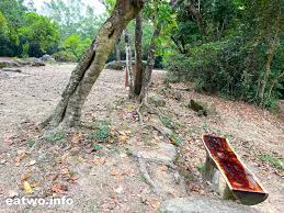 水浪窩營地I 香港露營場全記錄I www.eatwo.info – eatwo 兩個人醫吓肚