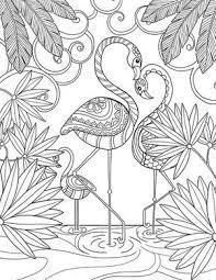 196 Dibujos De Mandalas Para Colorear Faciles Y Dificiles Mandalas Mandalas Para Colorear Libros Para Colorear Mandalas Para Colorear Animales
