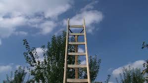 A one of a kind piece it's perfect for that high ceilinged home! Ladder In Orchard Pan Stock Footage Video 100 Royalty Free 4570304 Shutterstock