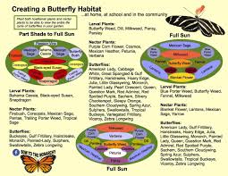 Budget Diy Landscaping Part Two Butterfly Habitat Butterfly Garden Design Butterfly Garden