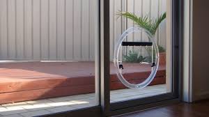 John rawlings/condé nast via getty images. Pet Doors Perfect For Your Place By Jims Glass Your Local Glazier