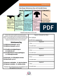 Www.coursehero.com in july, 2005, the european institute of chemistry and biology at the campus of the university of bordeaux, france. Dichotomous Key Worksheet Answers Quizlet