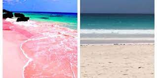 Book pink sands resort, harbour island on tripadvisor: Pink Sand Beaches Bahamas Really Pink