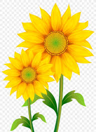 Free Free 264 Clipart Sunflowers Images SVG PNG EPS DXF File