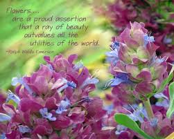 Beauty Break 112 Flower Quotes Purple Flowers Flowers