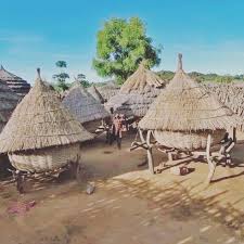 Nakapiramorru Village, Kotido District, North western Uganda, East Africa.  Their main economic activity is cattle keeping. The gorgeous sculptural  forms responding to context. The spatial relationships seen in the village  create social