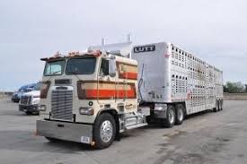 Bonkers We Rent Used Trailers In Any Condition Contact Ustrailer And Let Us Sell Your Trailer Click To Http U Cattle Trailers Big Trucks Freightliner
