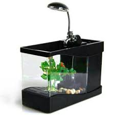 Ruangan di rumah tampak membosankan? Aquarium Mini Unik Menarik Tinggal Colok Usb Saja