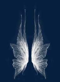 As Asas Fairy Wings Drawing Wings Drawing Wings Art