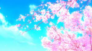 Sakura tree with pink flower and green leaves for android. Sakura Tree Hd Wallpapers Free Download Wallpaperbetter
