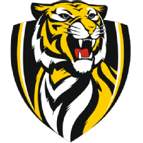 Do not miss brisbane lions vs richmond tigers game. Richmond Vs Brisbane Lions Game Summary July 16 2021 Espn