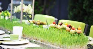 Party Planner Father S Day Burger Bbq Party Planner Wheat Grass Bbq Party
