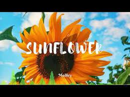 Post Malone Swae Lee Sunflower Hibell Remix Youtube Post Malone Sunflower Colouring Pages