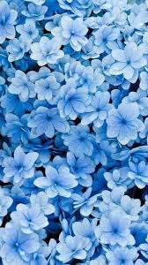 Flower Wallpapers Iphone Android Blue Flower Wallpaper Spring Wallpaper Blue Wallpaper Iphone