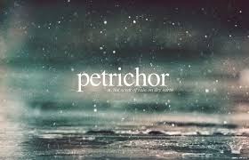 Petrichor 195 365 Kamus Remaja Kosakata Hujan