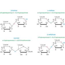 Chemistry Glossary Search Results For Sucrose