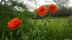 741 mcdowell rd, jackson, ms 39204. Https Www Smithsonianmag Com Photocontest Detail Natural World Symbiosis Mutualism Https Contest Public Media Si Cdn Com F45918fe Fb11 4751 B64b 45977bd98a11 Jpg This Photograph Remind Me Of One Of My Least Favourite Subject To Learn In My