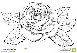 How to draw realistic flowers step by drawing guide drawing a rose you how to draw flower vase drawing for beginners very easy step by how to draw flowers in a vase drawingfl net. Drawing Rose Easy Flower Vase Drawing For Kids