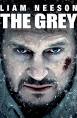 The Grey
