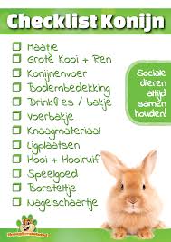 Kaninchen Informationen Drd Knaagdierwinkel