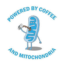 Powered By Coffee Mitochondria I Need My Energy Funny Cell Biology Design By Moi Follow Me For More Funnysci Biology Jokes Biology Gift Science Cartoons