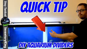 Well you're in luck, because here they come. Quick Diy Tip Separate Your Large Fish With Egg Crate Aquarium Dividers Youtube