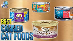 A list of the highest rated cat foods available in an easy to read chart format. 10 Best Canned Cat Foods 2018 Youtube