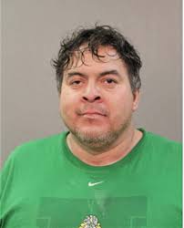 ᐅ Illinois Criminal Records 2009-2025