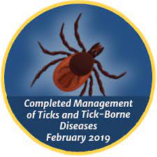 Although generally known as outdoor pests, they sometimes. Mosquito Flea And Tick Control In Me Ma Nh Ct Ri Modern Pest