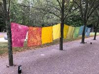 Natural Dye: Creating a Spectrum