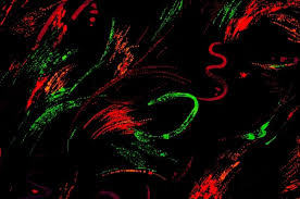Ø®Ù„ÙÙŠØ§Øª ÙÙƒØªÙˆØ± Ø®Ù„ÙÙŠÙ‡ Ø¨Ù„ÙˆÙ† Ø£Ø³ÙˆØ¯ ÙˆØ£Ø­Ù…Ø± ÙˆØ£Ø®Ø¶Ø± Black Red Green Background Free Stock Photos Ø¬Ø±Ø§ÙÙŠÙƒØ³ Ø§Ù„Ø¹Ø±Ø¨ ÙƒÙ„ Ù…Ø§ ØªØ­ØªØ§Ø¬ Ù„ØªÙƒÙˆÙ† Ù…Ø¨Ø¯Ø¹ Ù…Ù„ØªÙ‚Ù‰ Ø§Ù„Ù…ØµÙ…Ù…ÙŠÙ†