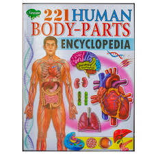 Cerebellum, cheek, cheeks, chin, dimples, ear, earache. 221 Human Body Parts Encylopedia