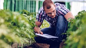 Maestría en Agronomía, Mención Agricultura Sostenible